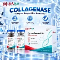 Yoğun Doku Ayrışması İçin CGE Kolajenaz C-DEN-02