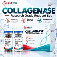 Dengeli Doku Ayrışması İçin CGE Kollajenaz C-BAL-01